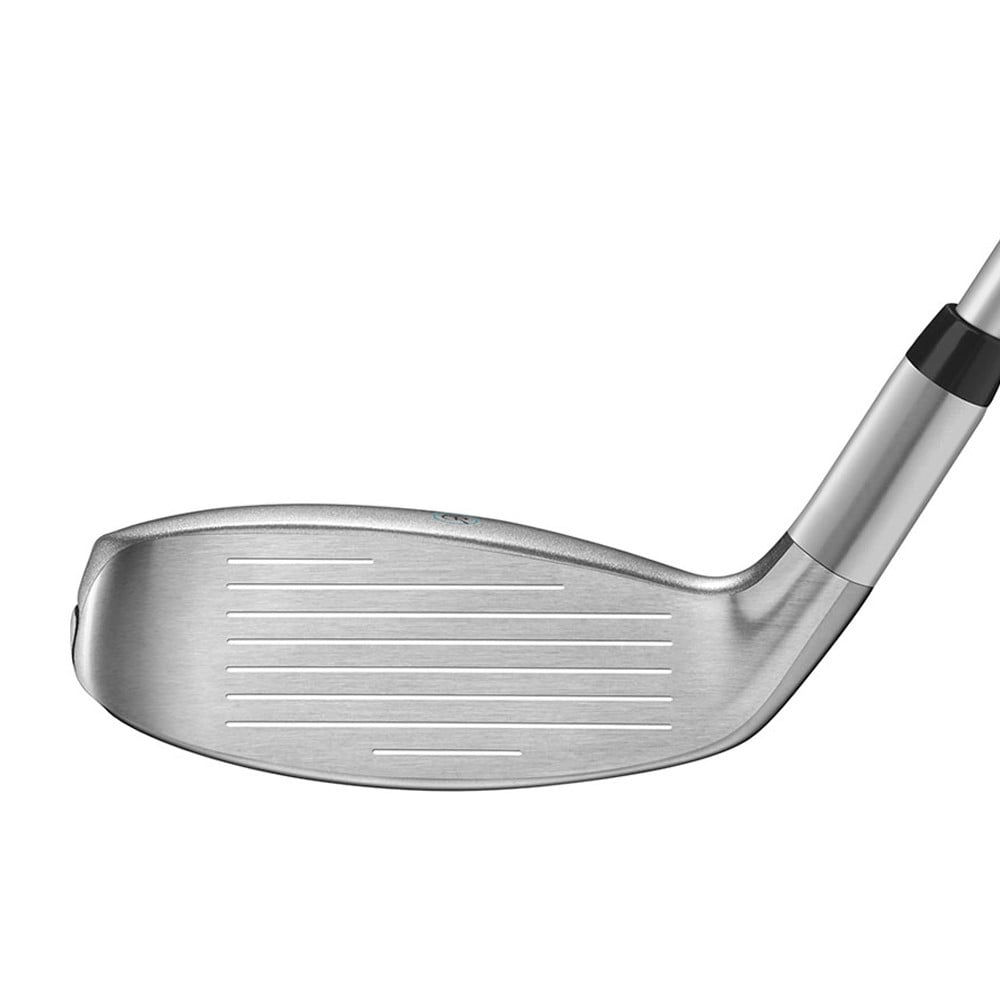 Adams women's shop blue combo irons