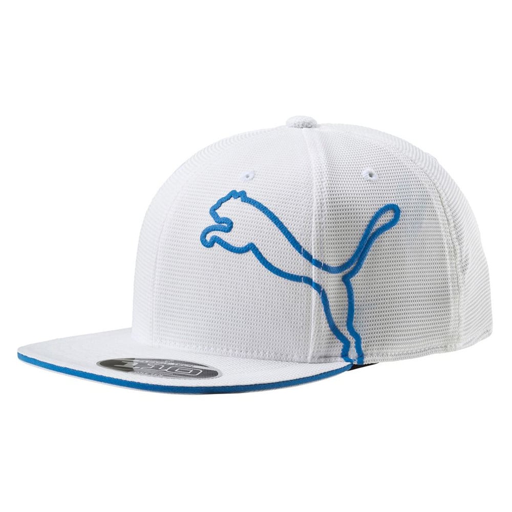 Puma monoline hat hotsell