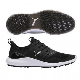 Ignite nxt disc store