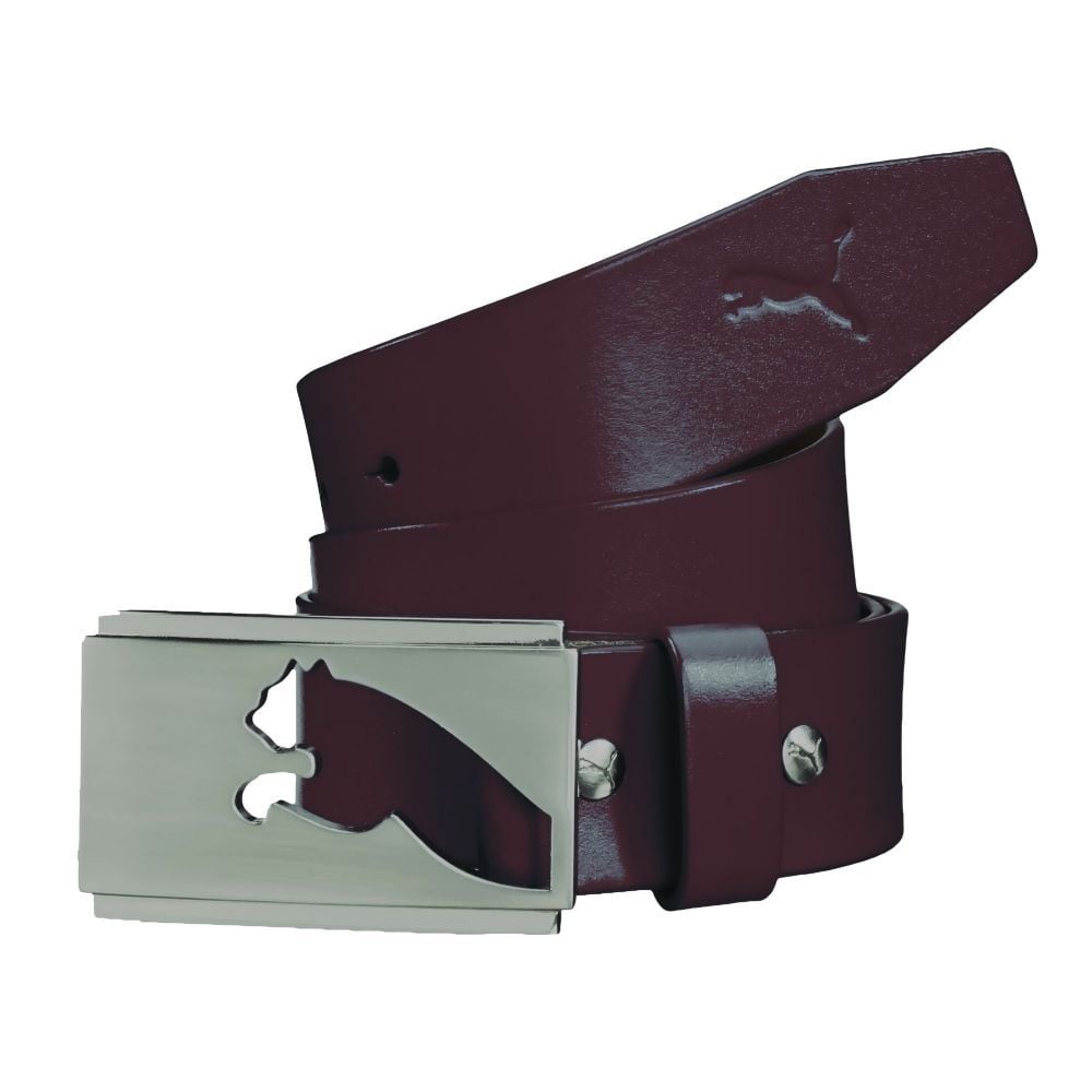 Puma belt price top