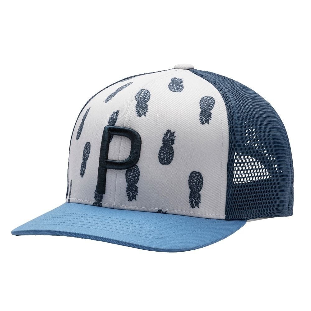 Pineapple puma hat top